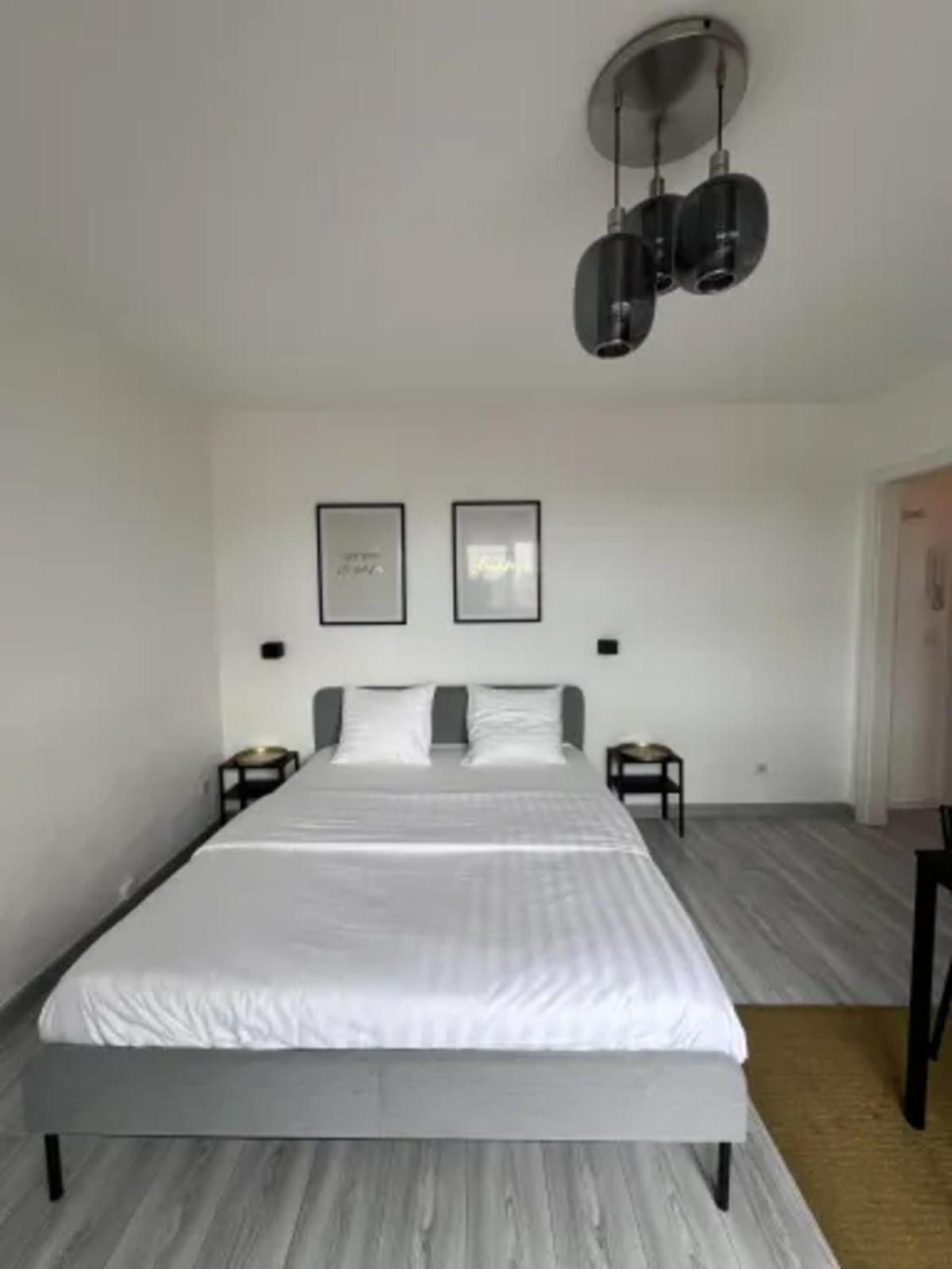 Cosy Rent Strasbourg Wifi Terrasse St Aloise Villa Luaran gambar